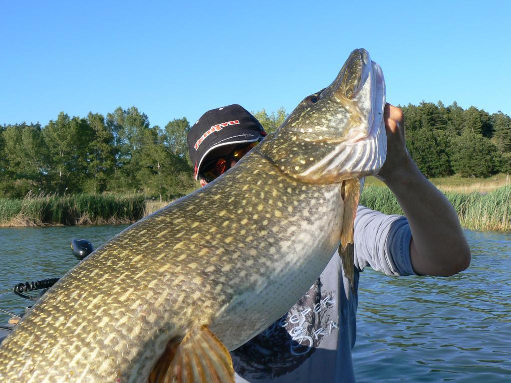 Camping La Motte Flottante La Freissinouse Buitenkant foto