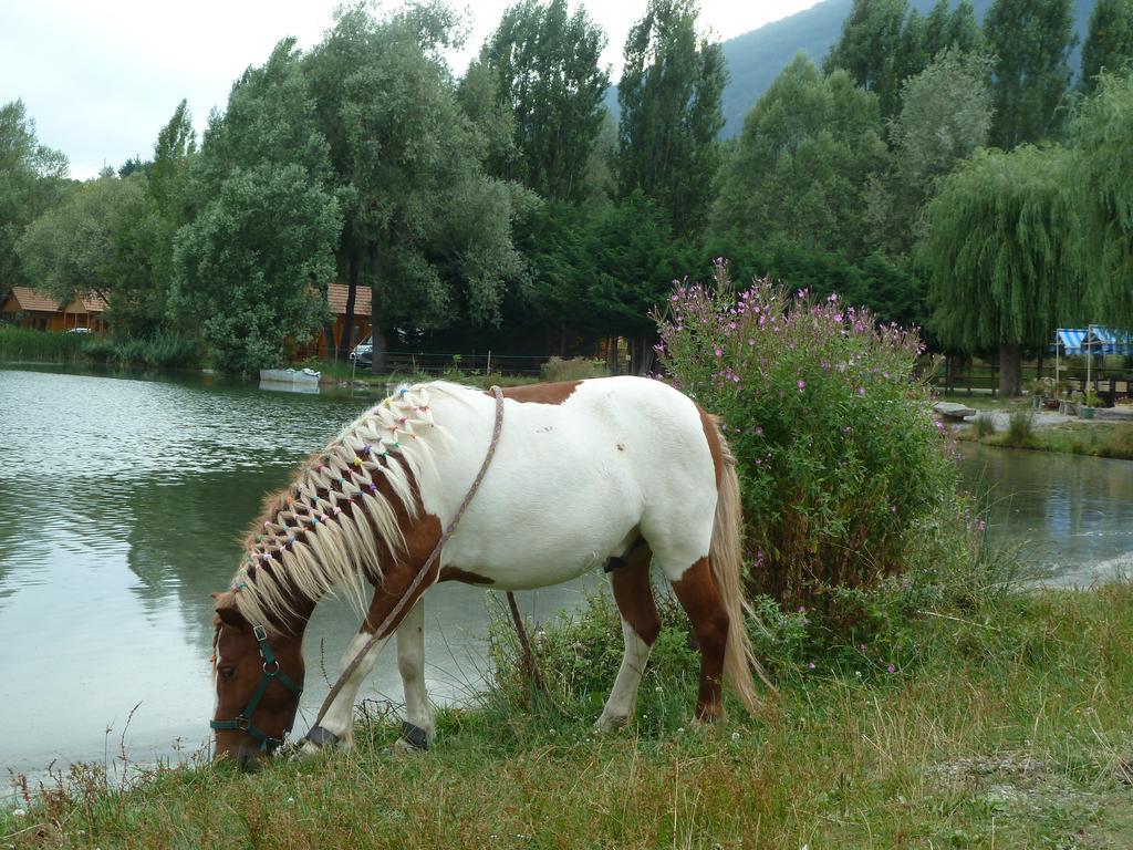 Camping La Motte Flottante La Freissinouse Buitenkant foto