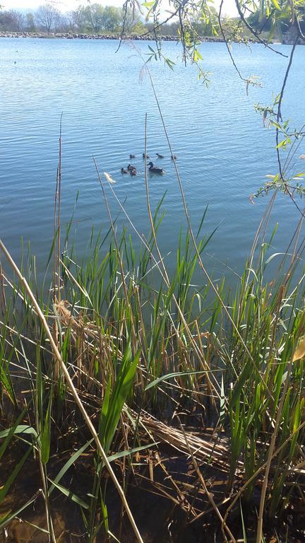 Camping La Motte Flottante La Freissinouse Buitenkant foto